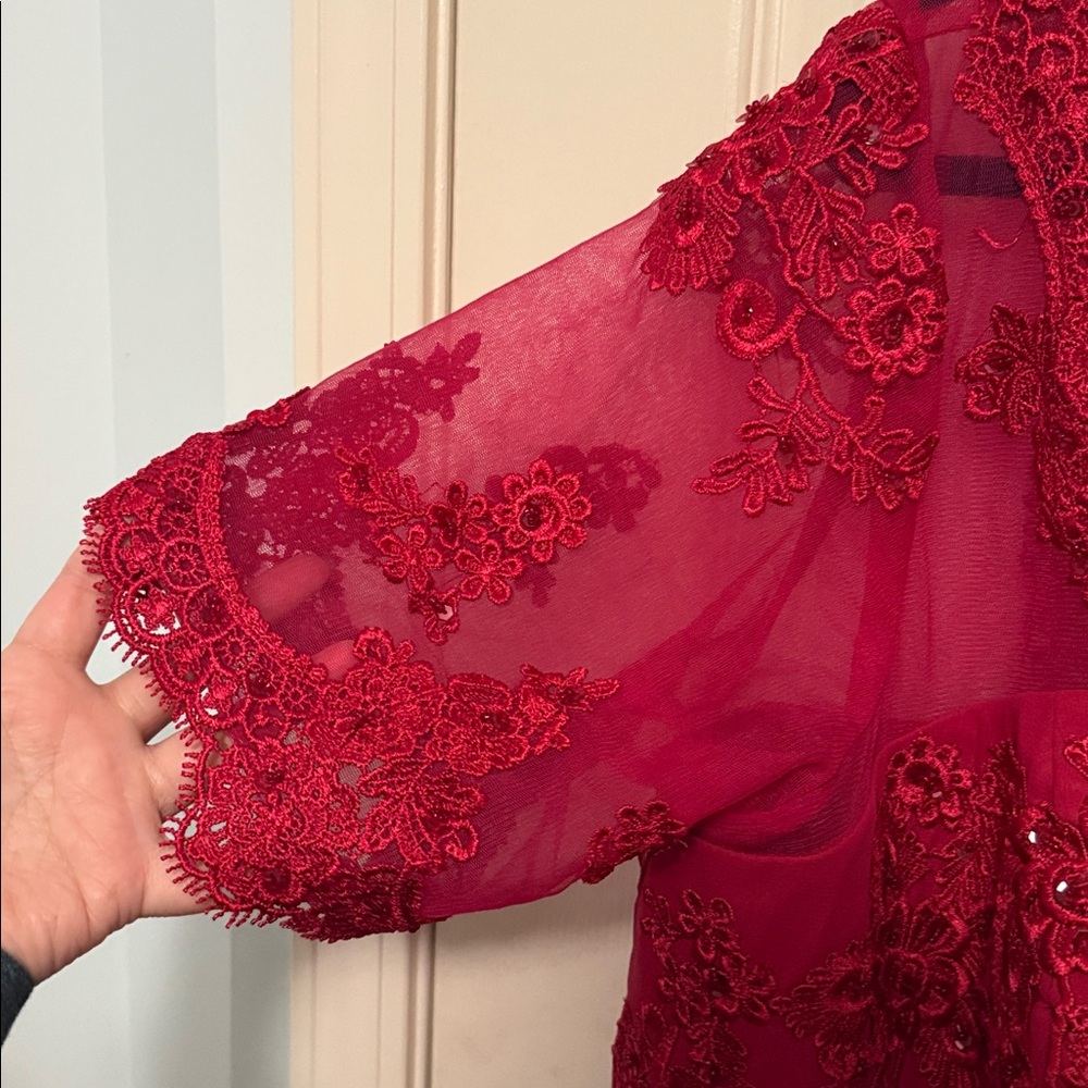 Chic Red Lace Evening Dress - NWOT - Picture 4 of 6